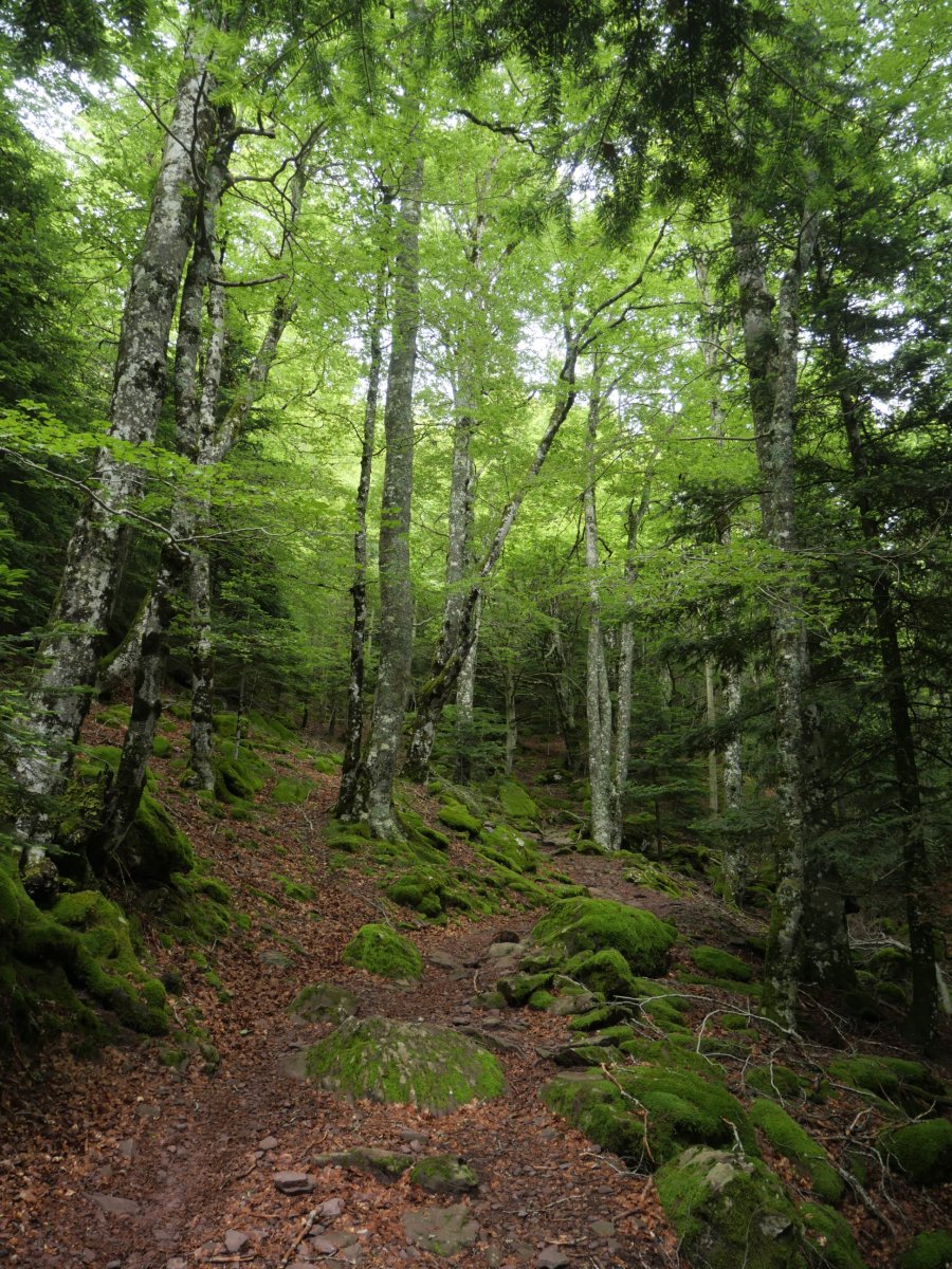 Castiello d'Acher, bideko pasarte bat