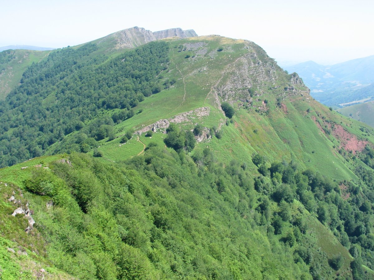 Astate aldetik ikusita