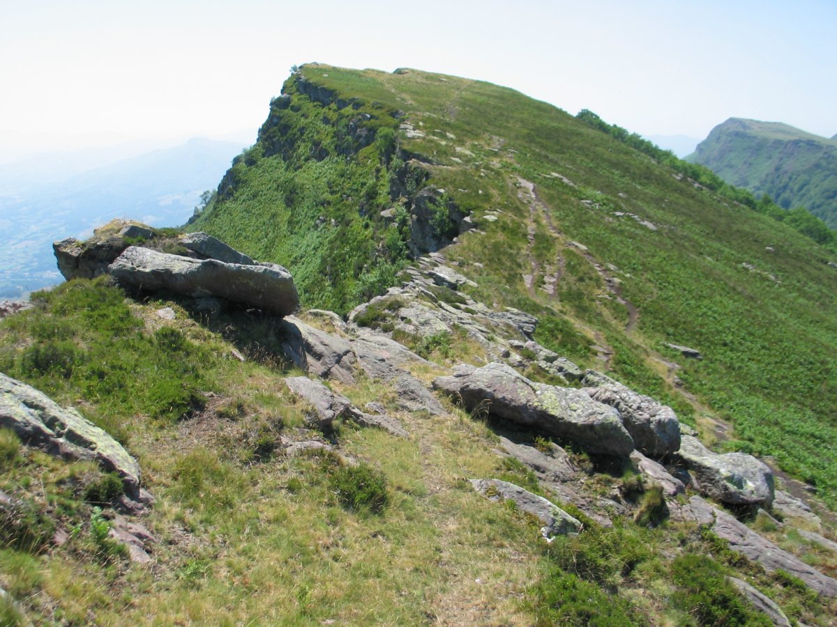 Gainaldeko bidezidorrak