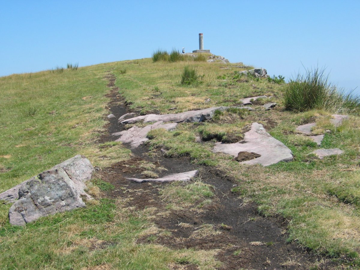 Iparla tontorra hegoaldetik