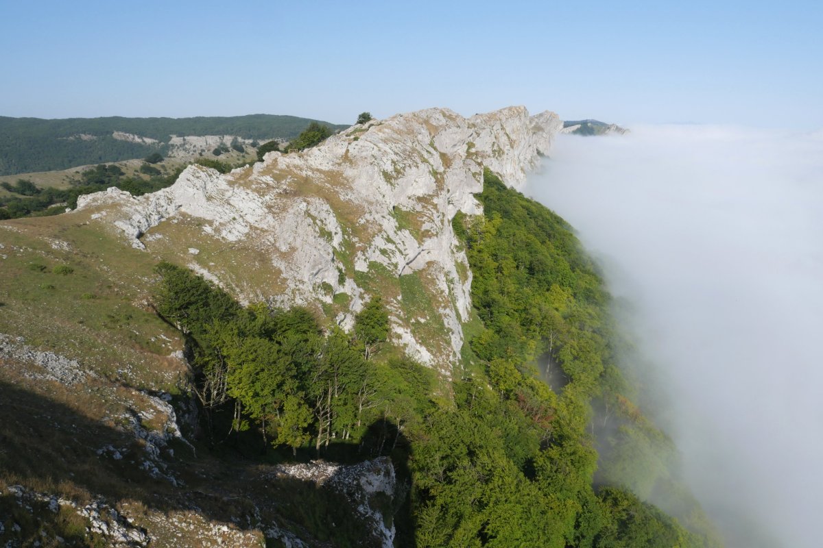 Ollideko Barga, Lizarraga aldeko mutur batetik ikusita