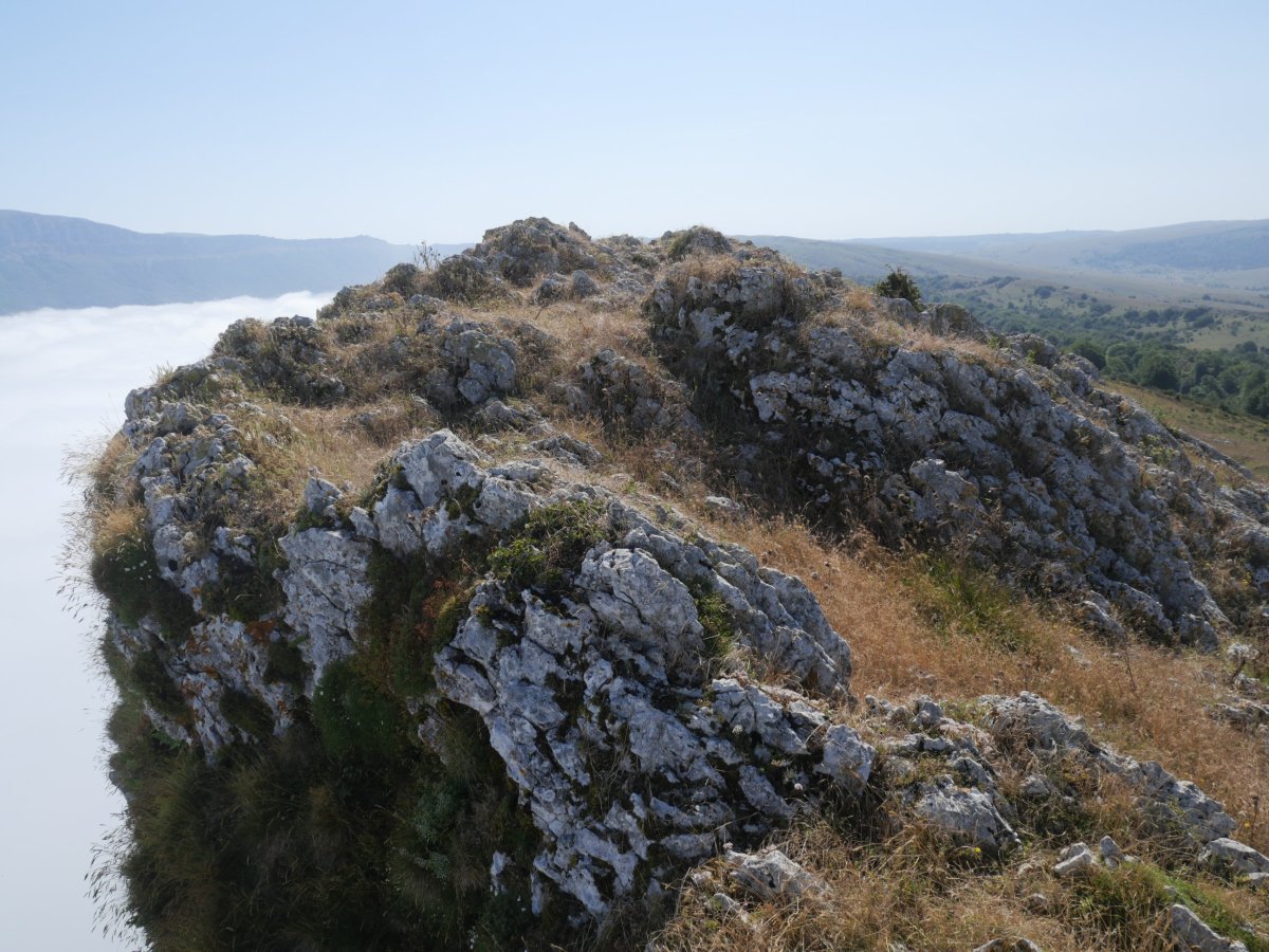 Bargattentte tontorra