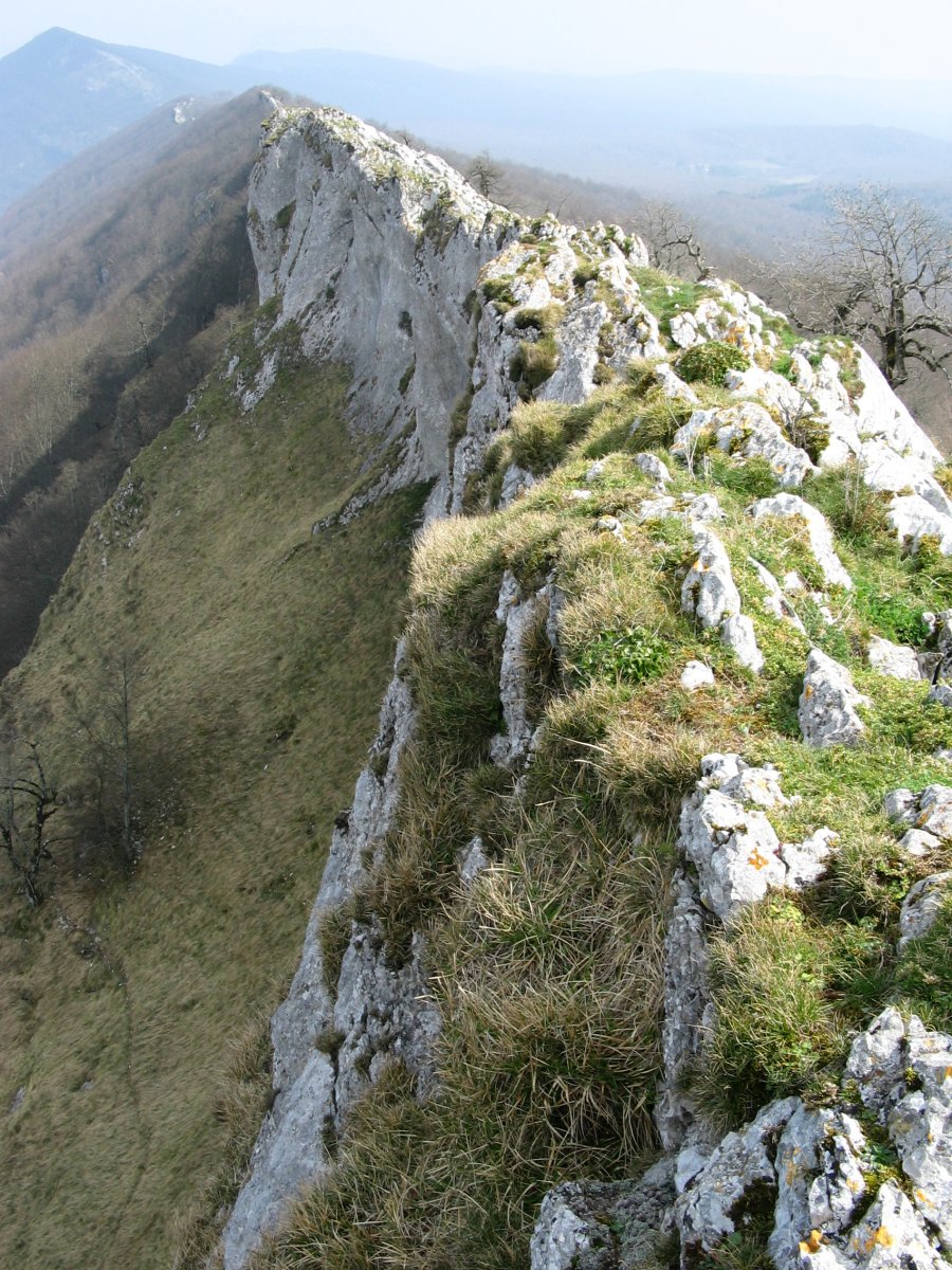 Ekialdeko tontorretik ekialderako gandorra, Legunbe