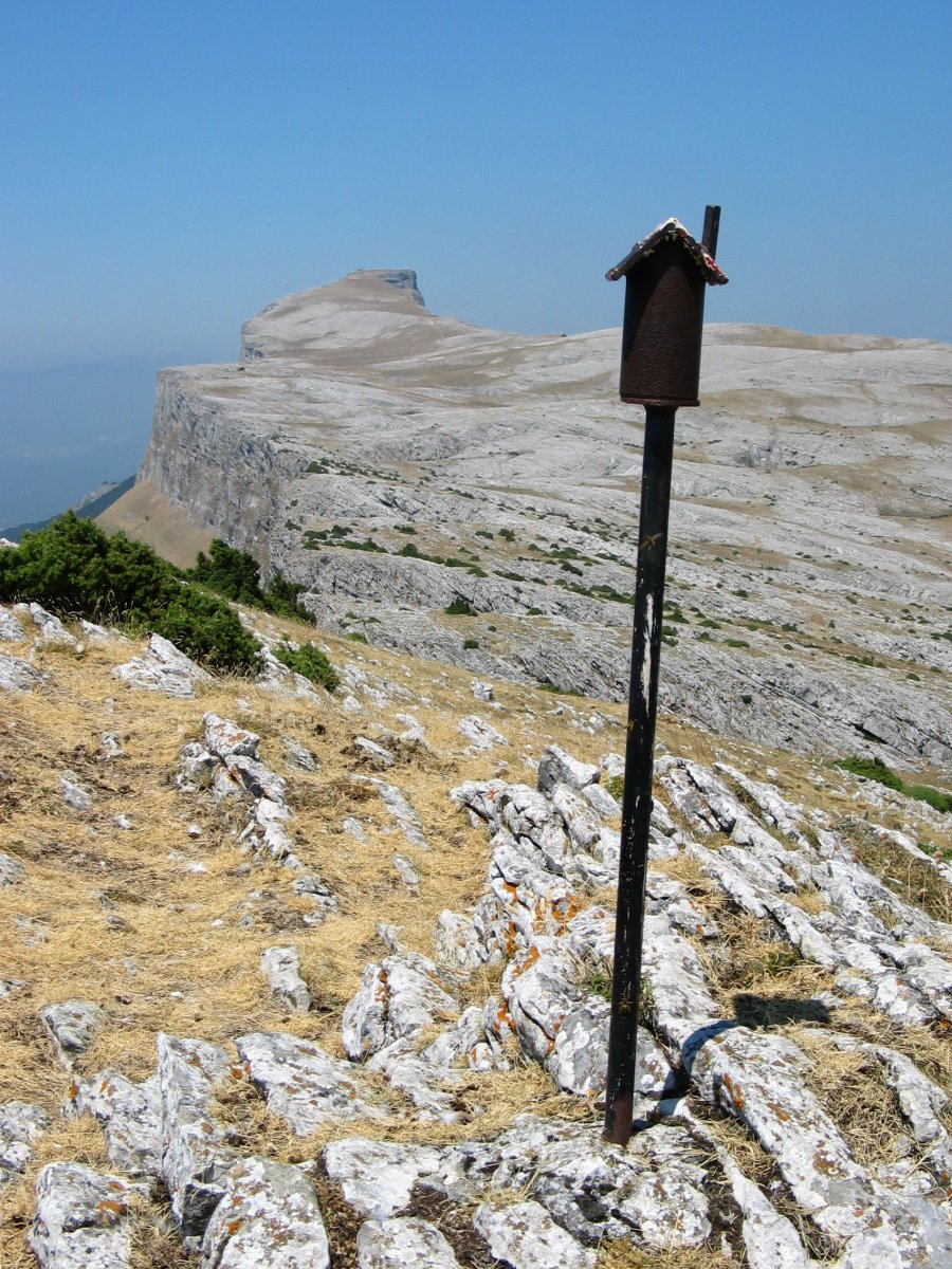 Txartelontzia, Leziza