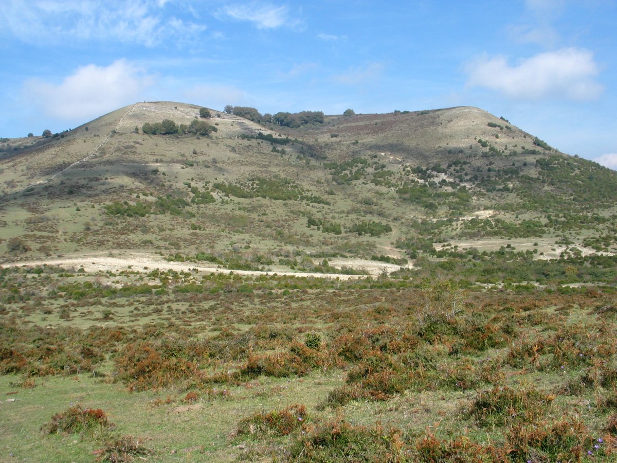 Zoiolagaña hegoaldetik, Elimendiko hegitik