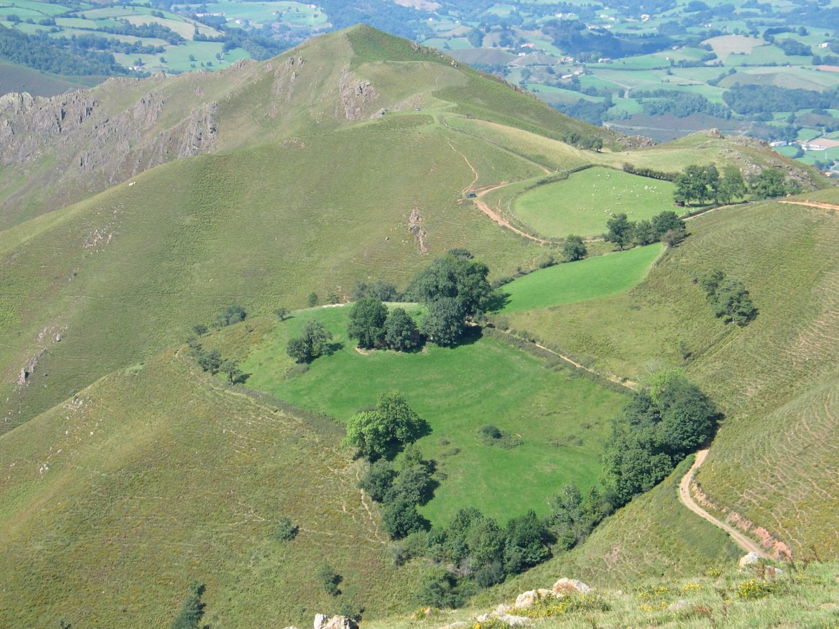 Mendebaldeko ikuspegia