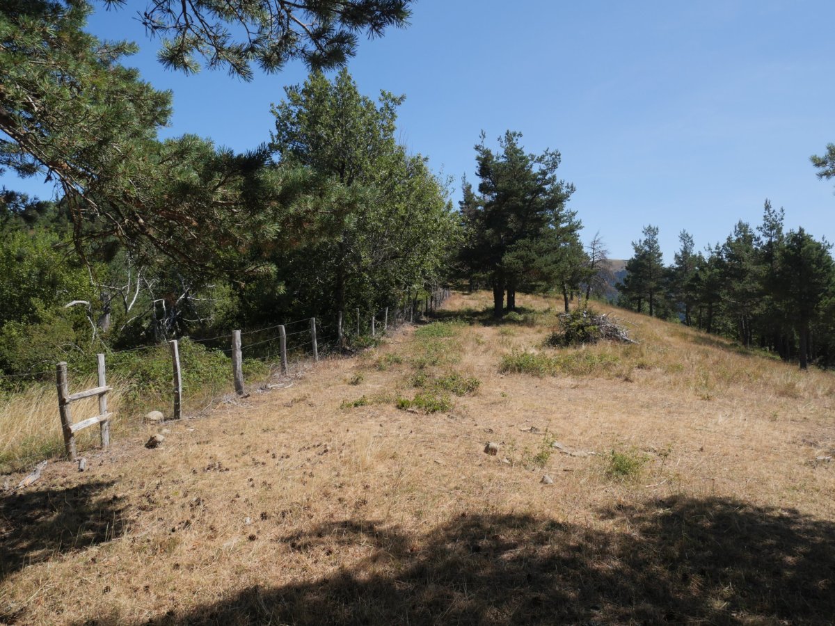 Zazola eta Brakola arteko bideko pasartea