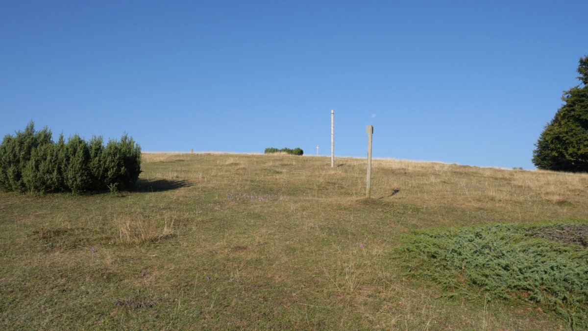 Gaztanbidea gainera heltzen