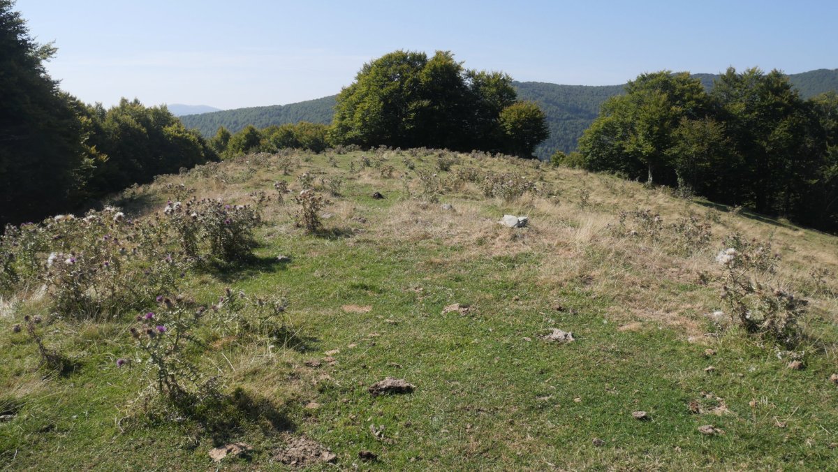 Santzen Bizkarra muinoa