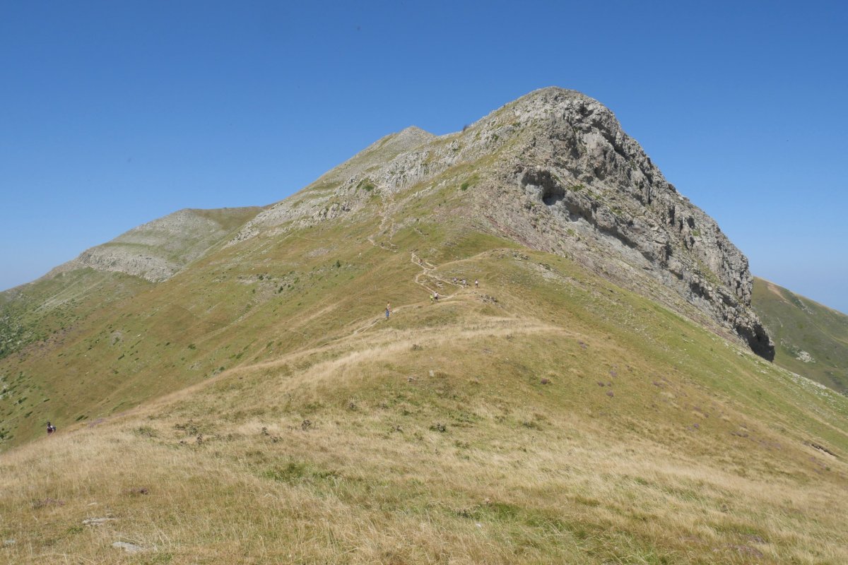 Orhi Txipiaren HEko konkorra