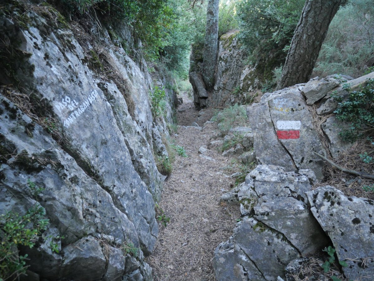 Kontrabandisten pasabidea