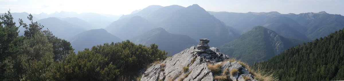 Armotoa tontorra eta ekialdeko ikuspegia