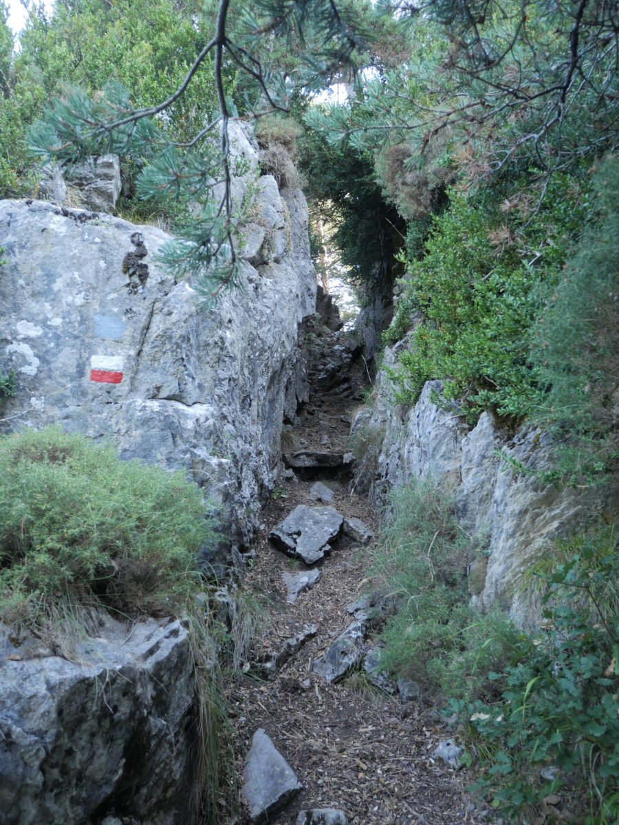 Kontrabandisten pasabidea