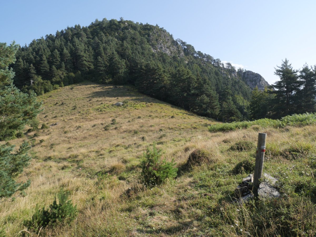 Ardibidegaineko iparraldeko lepoa