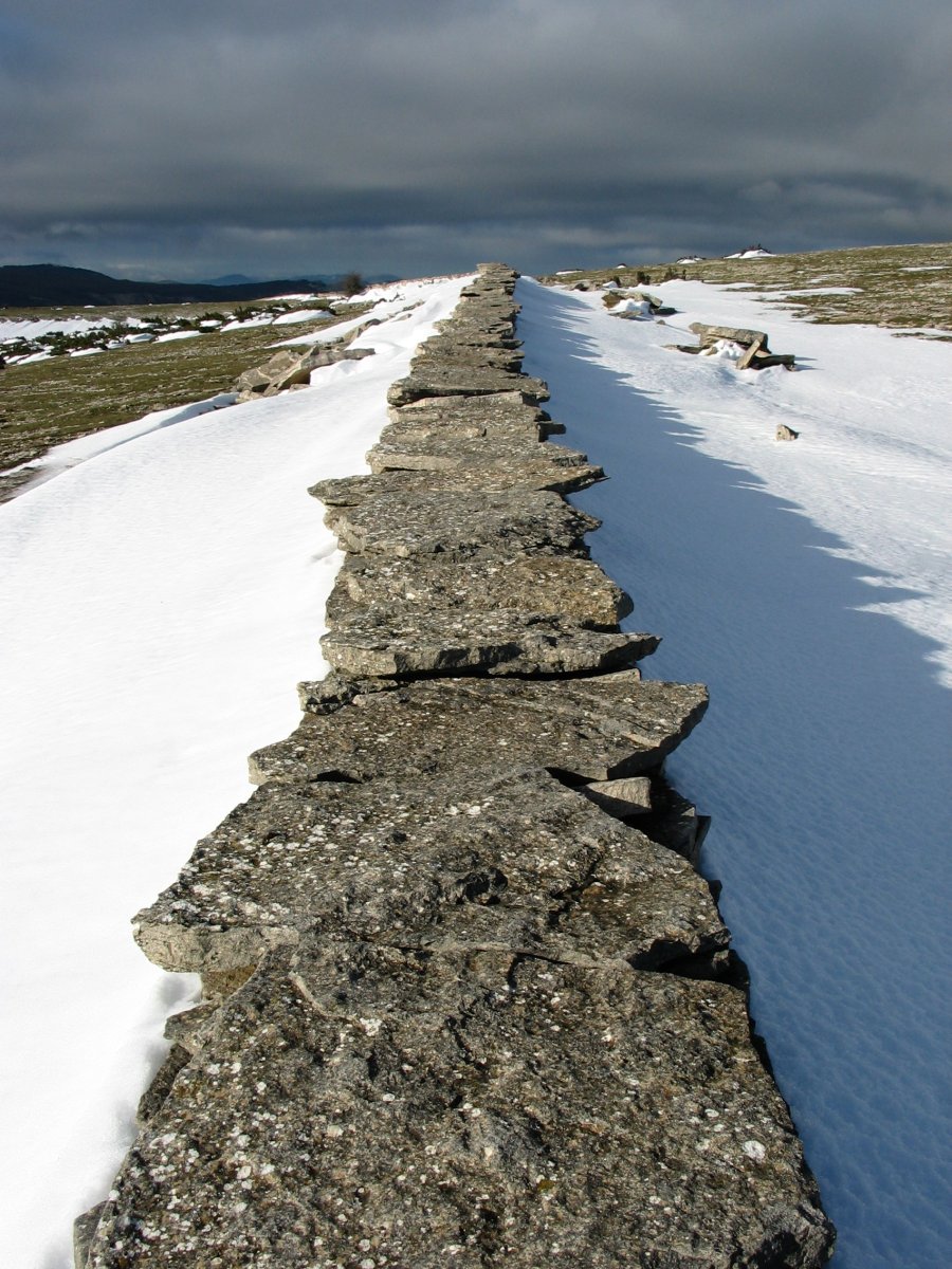 Harresia elur artean