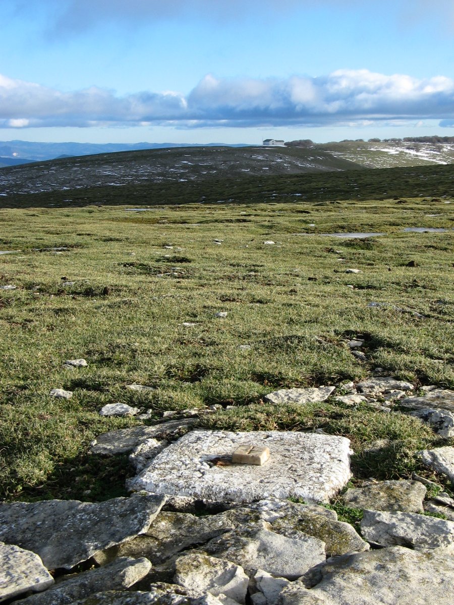 Hau izan daiteke tontorraren marka