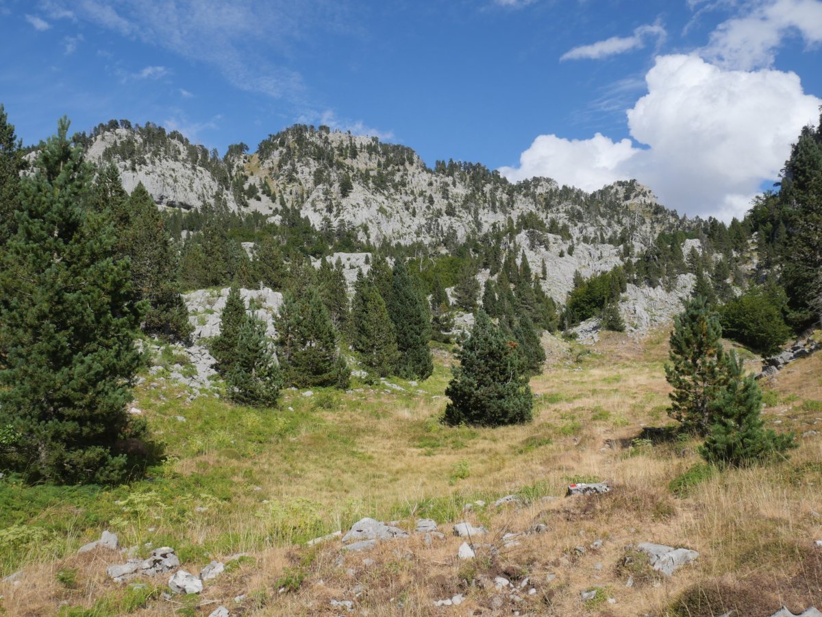 Añiberkandia aldean