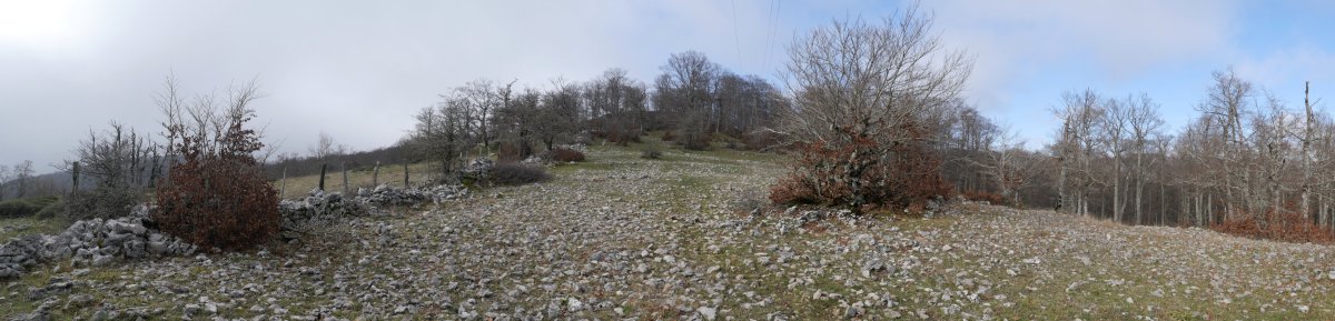 Debata gaina ekialdetik