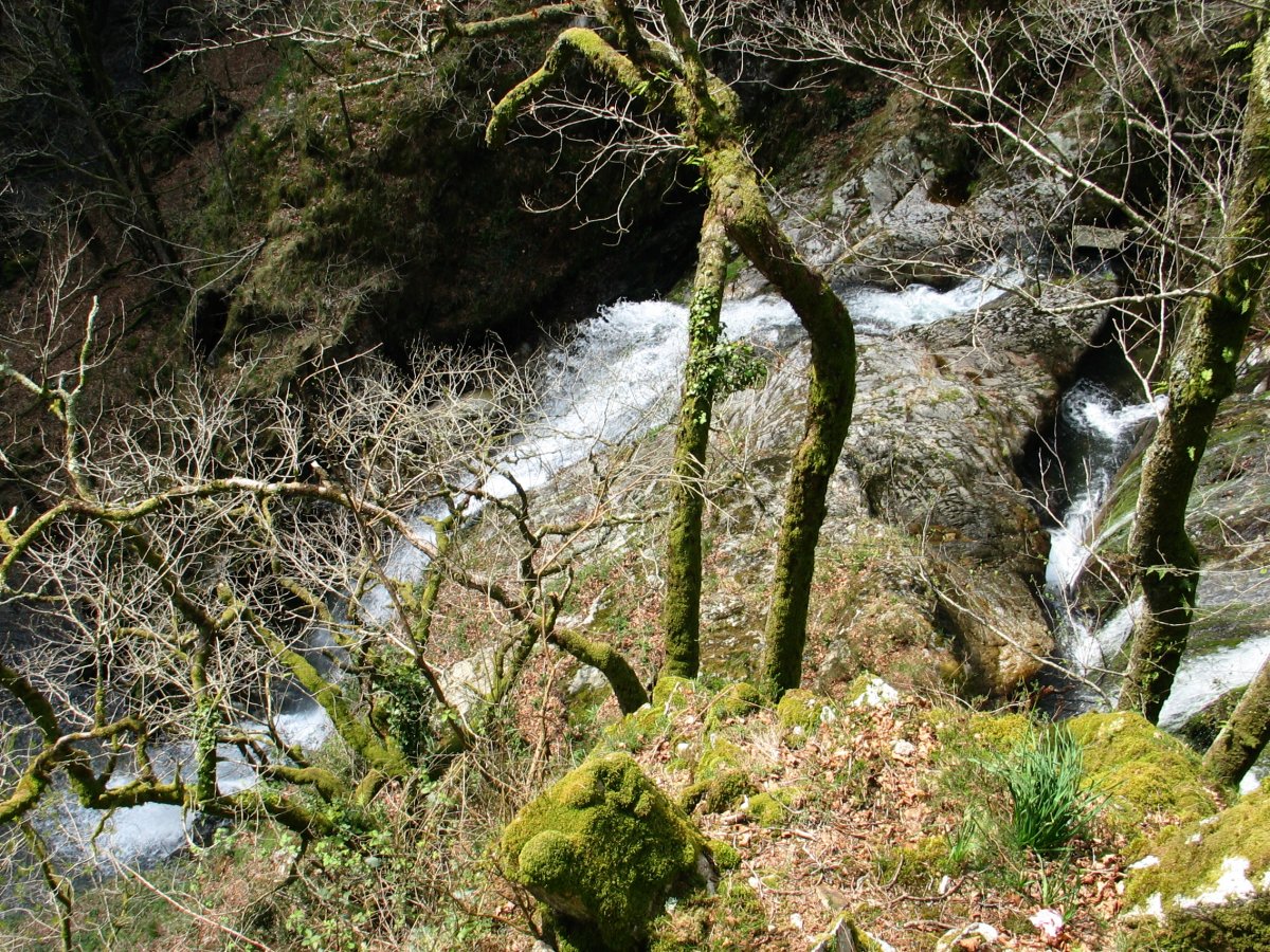 Erroiarriko urjauzia