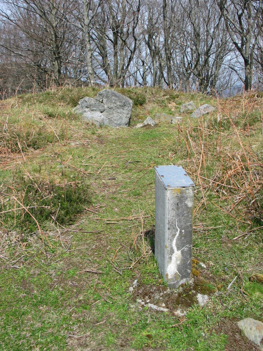 Pagolleta trikuharria