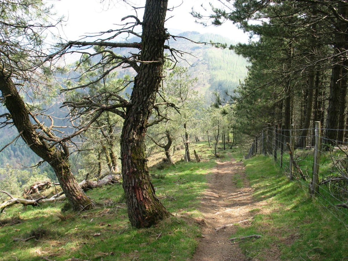 Zaburu aldera jaisten den bidea