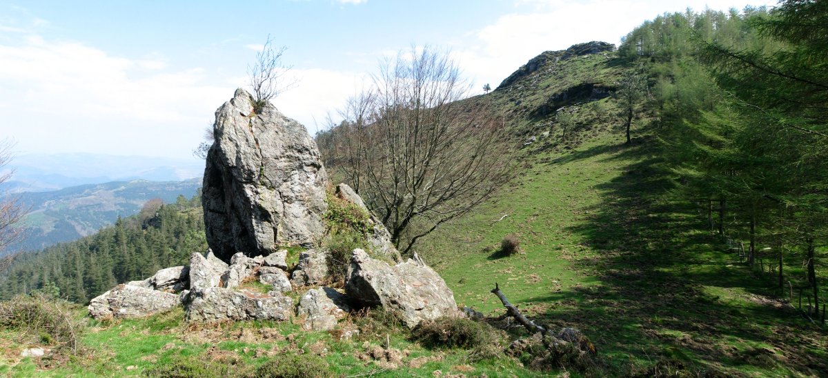 Zaburu Txikitik, IMko bizkarrean