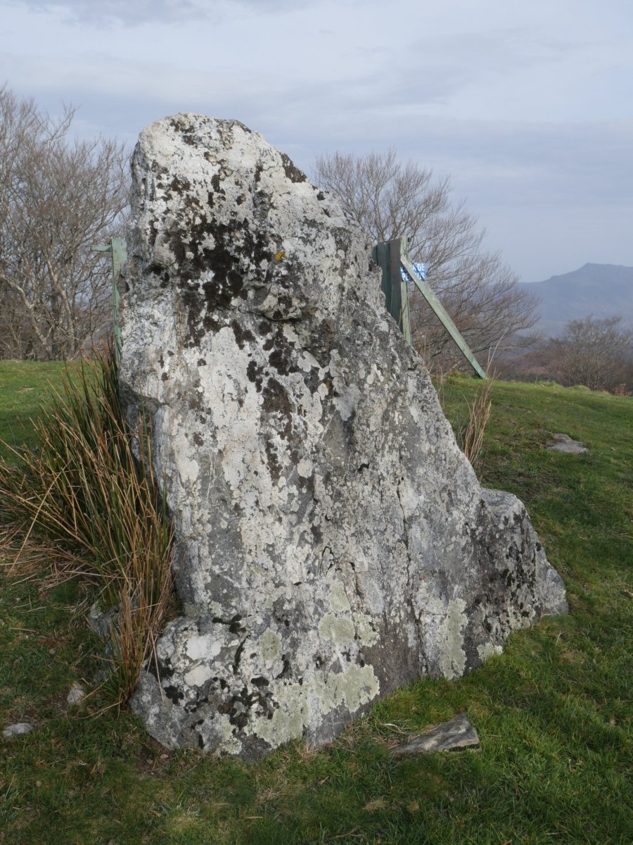 Bidango Gaina zutarria