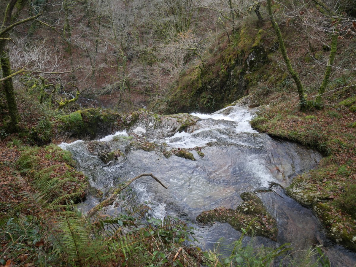 Jauziaren burua, Erroiarri