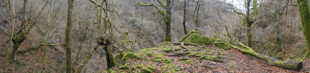Ur-jauziaren gaineko begiratokia, Erroiarri