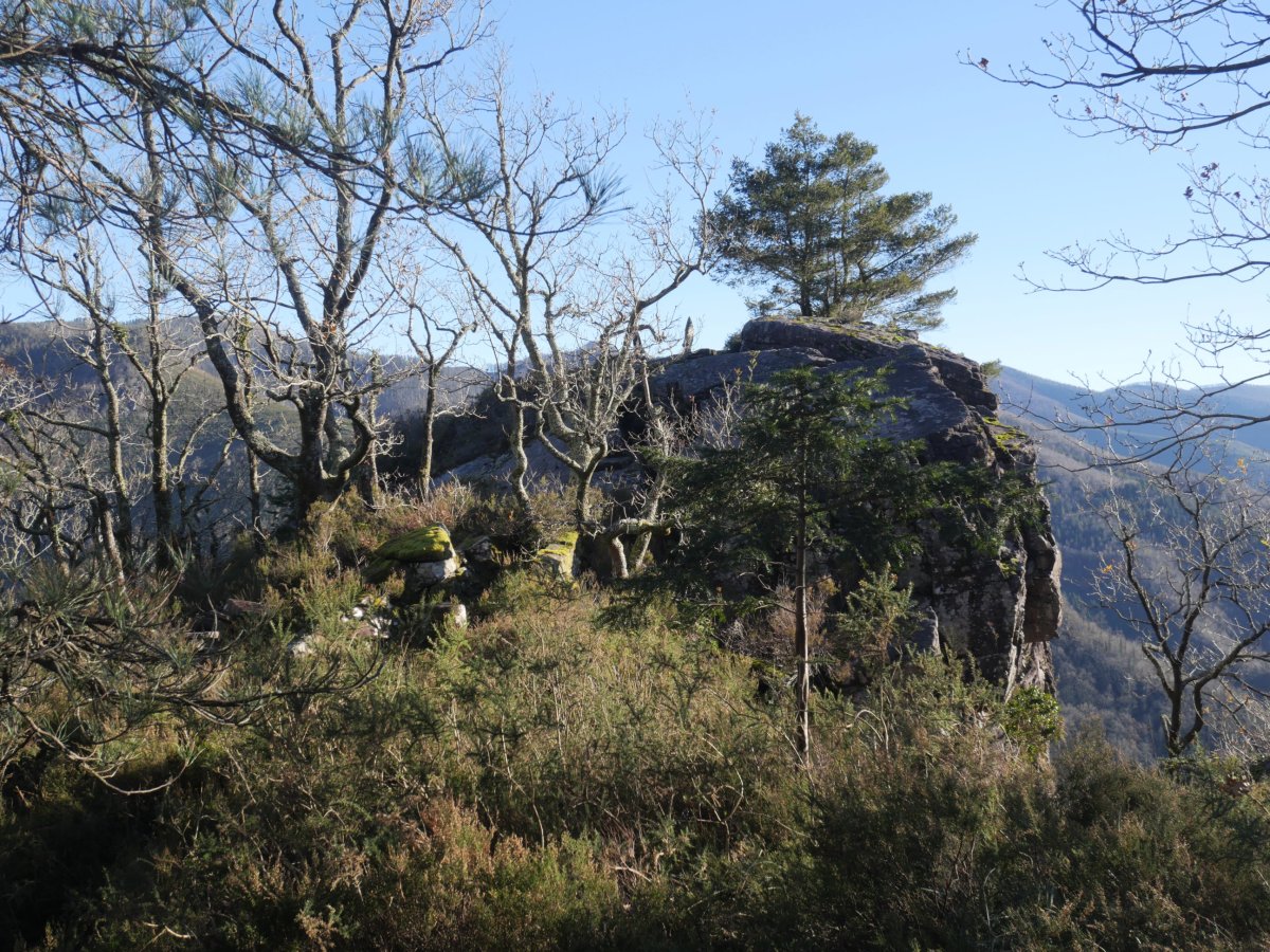 Begiratoki egokia Larrandain mendiaren iparraldeko bizkarrean