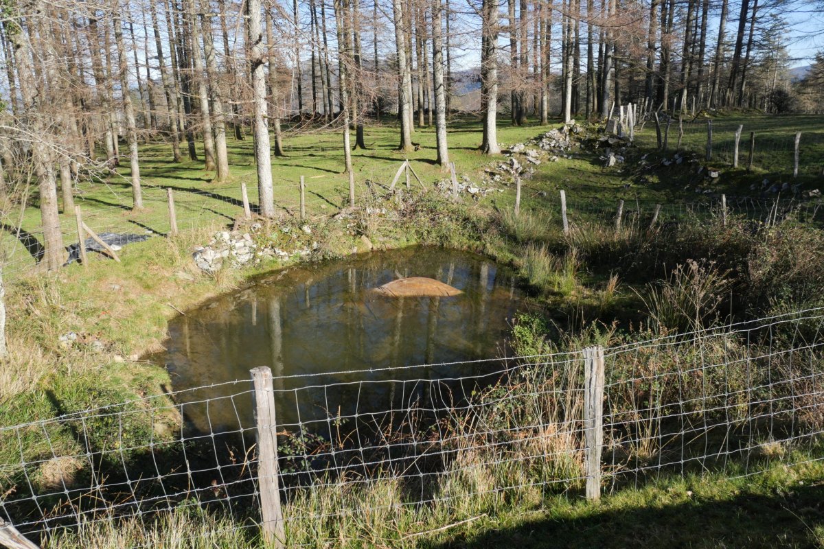 Urmaela Belabieta tontorretik gertu