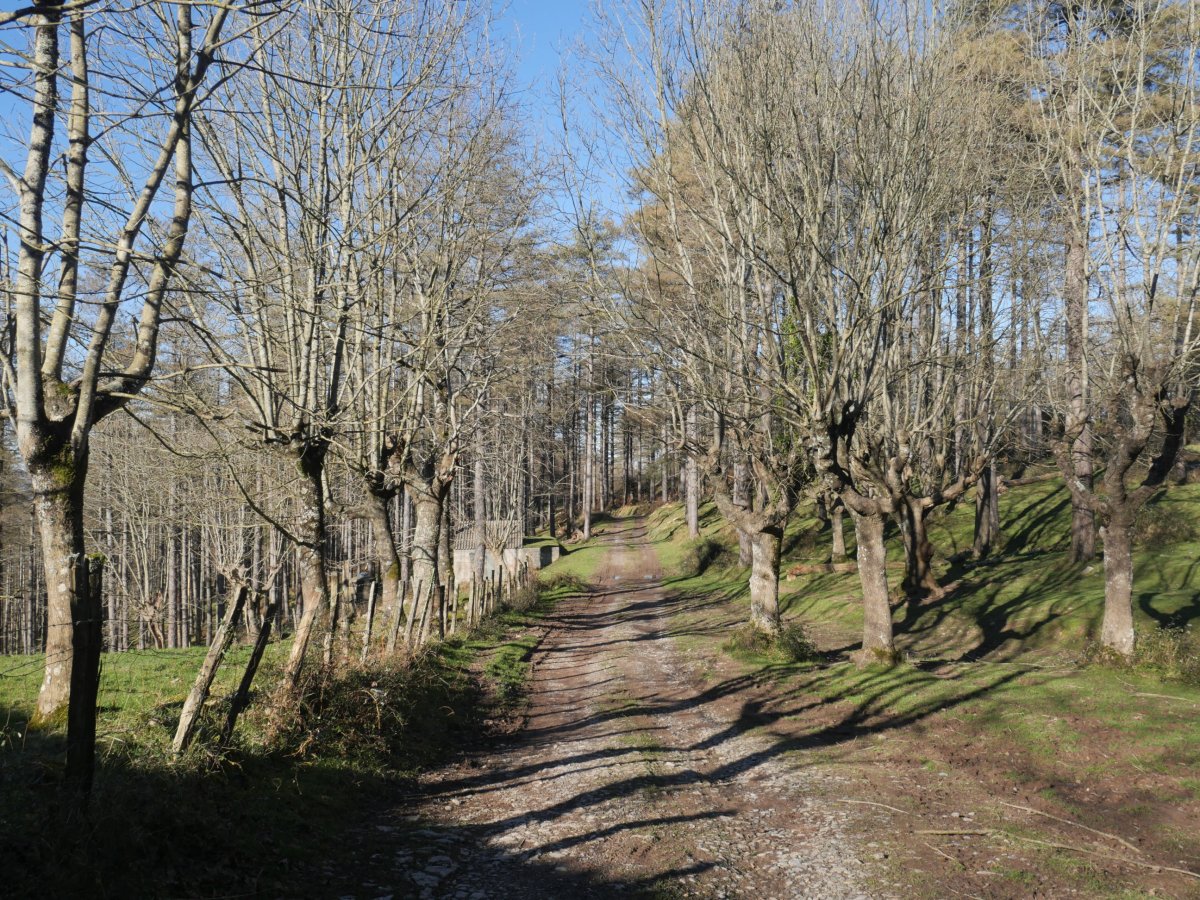 Bidea Sisoroko bordaren parean