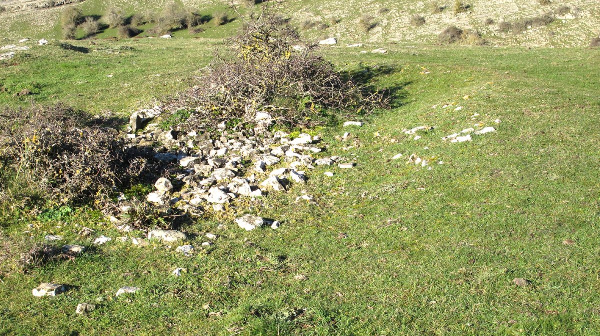 Anuelen 2 tumulua, Andia