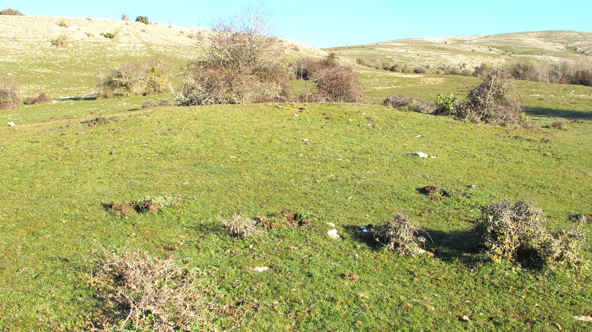 Anuelen Bidea etxola hondoa, Andia