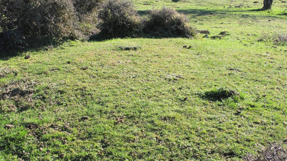 Iguzpegi 8 etxola hondoa, Andia