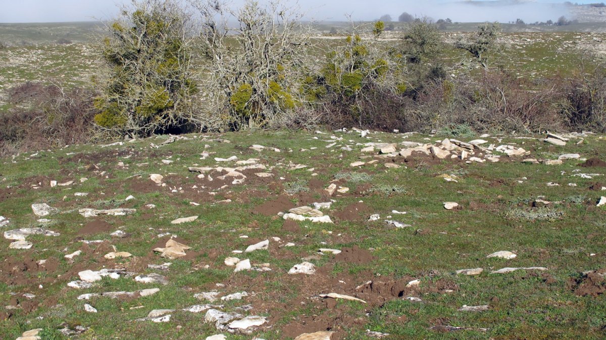 Usaleze 3 tumulua, Andia