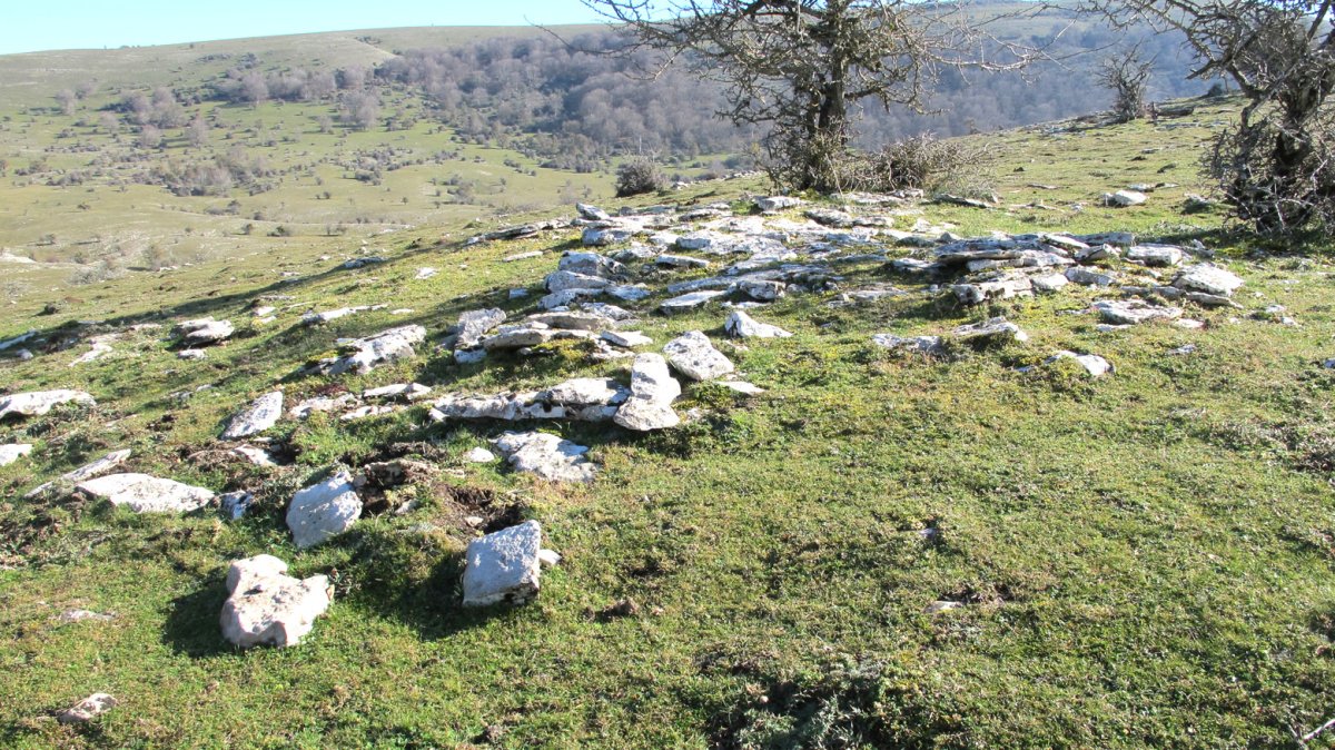 Ixaren Suroeste etxola hondoa, Andia