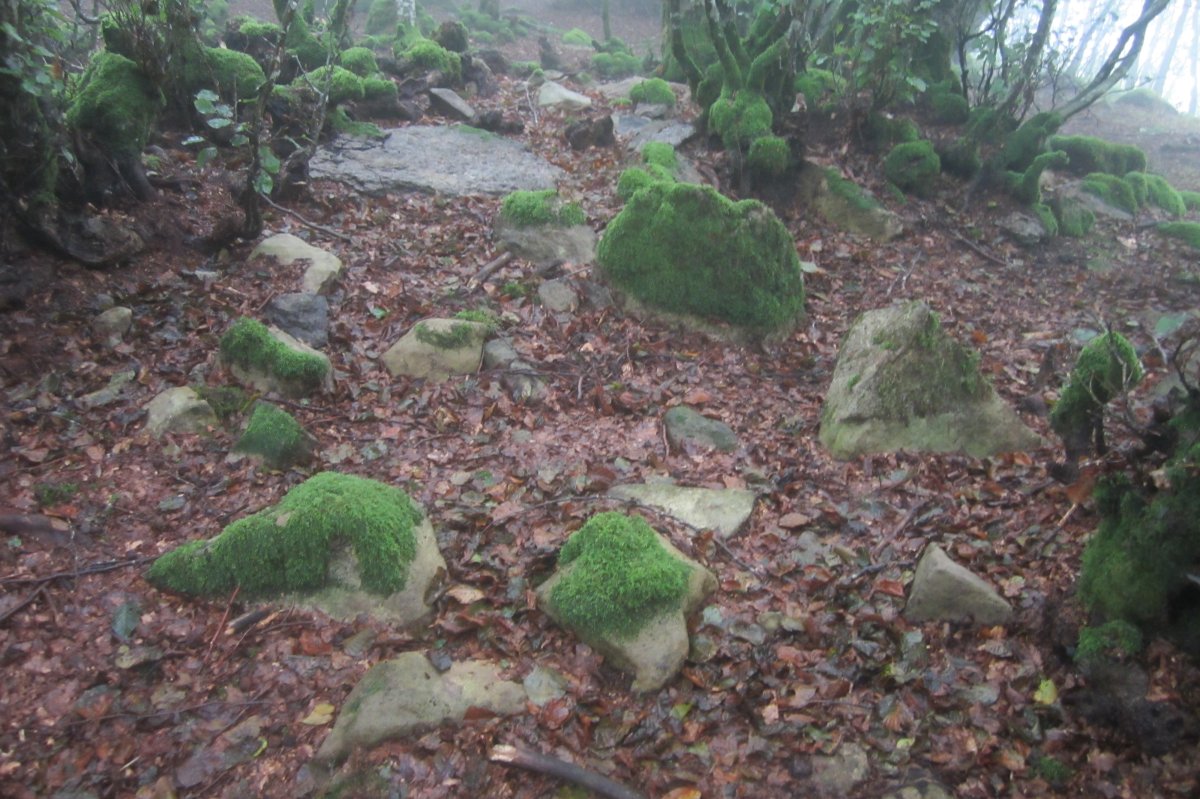 Dólmen Azkonazulueta  (09-2021)