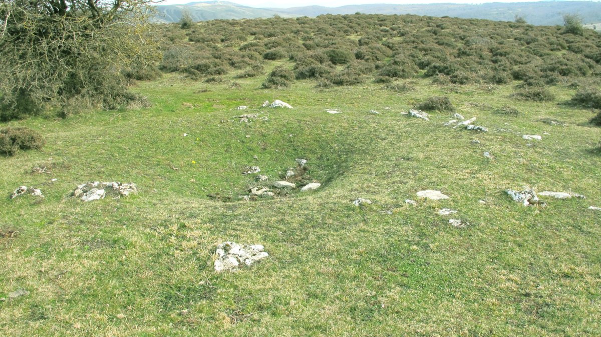 Sima de Pamplona, Andia