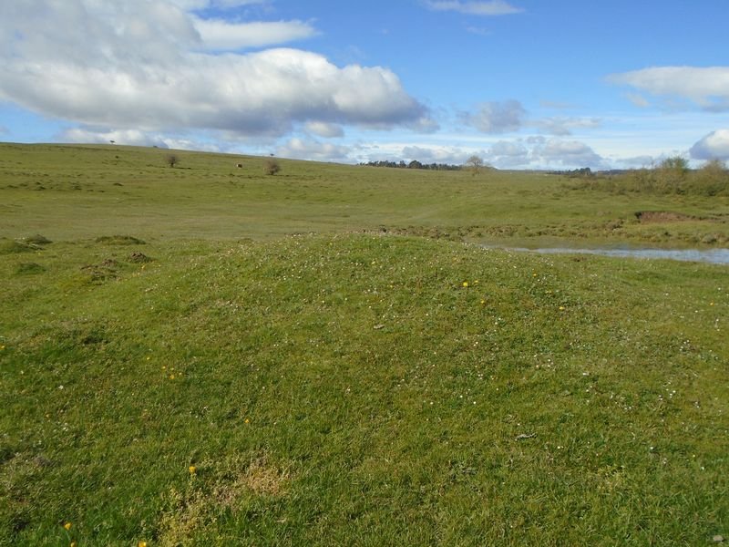 balsas de arratondo 2