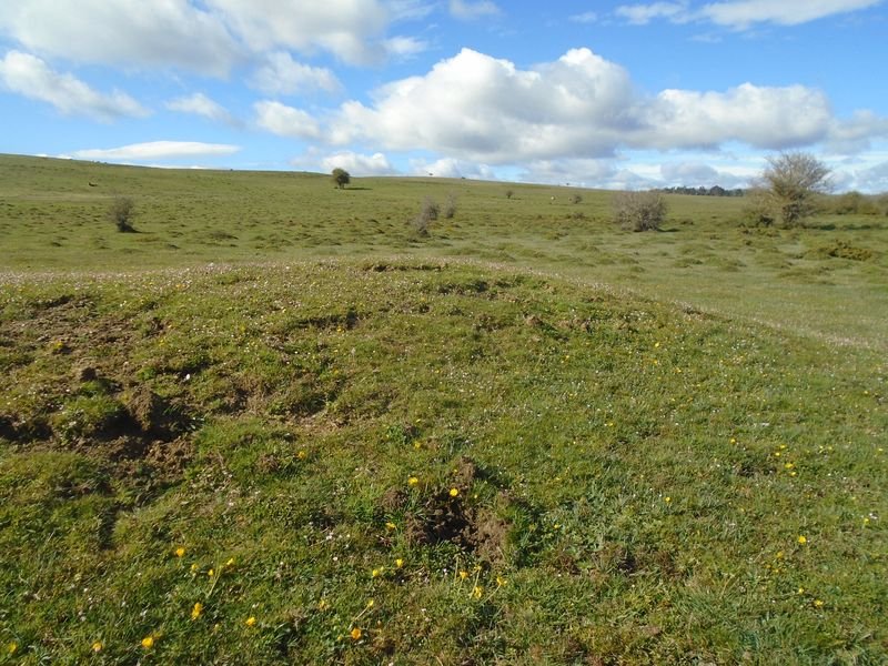 balsas de arratondo 3