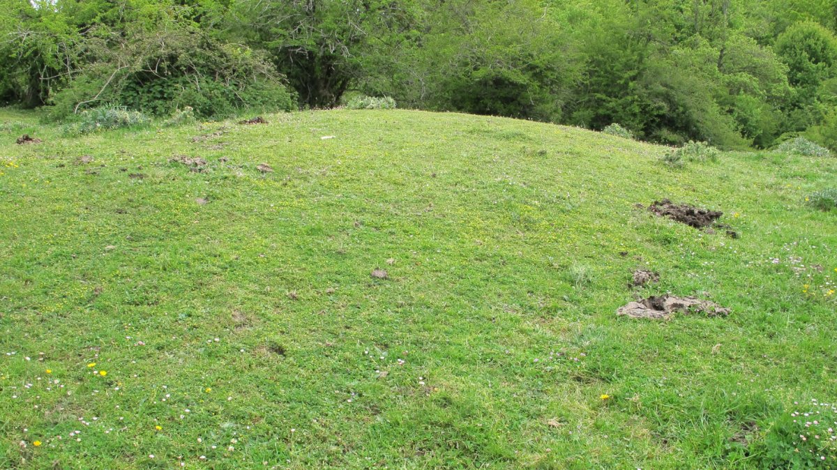 Ingiriko Portillua etxola hondoa, Andia