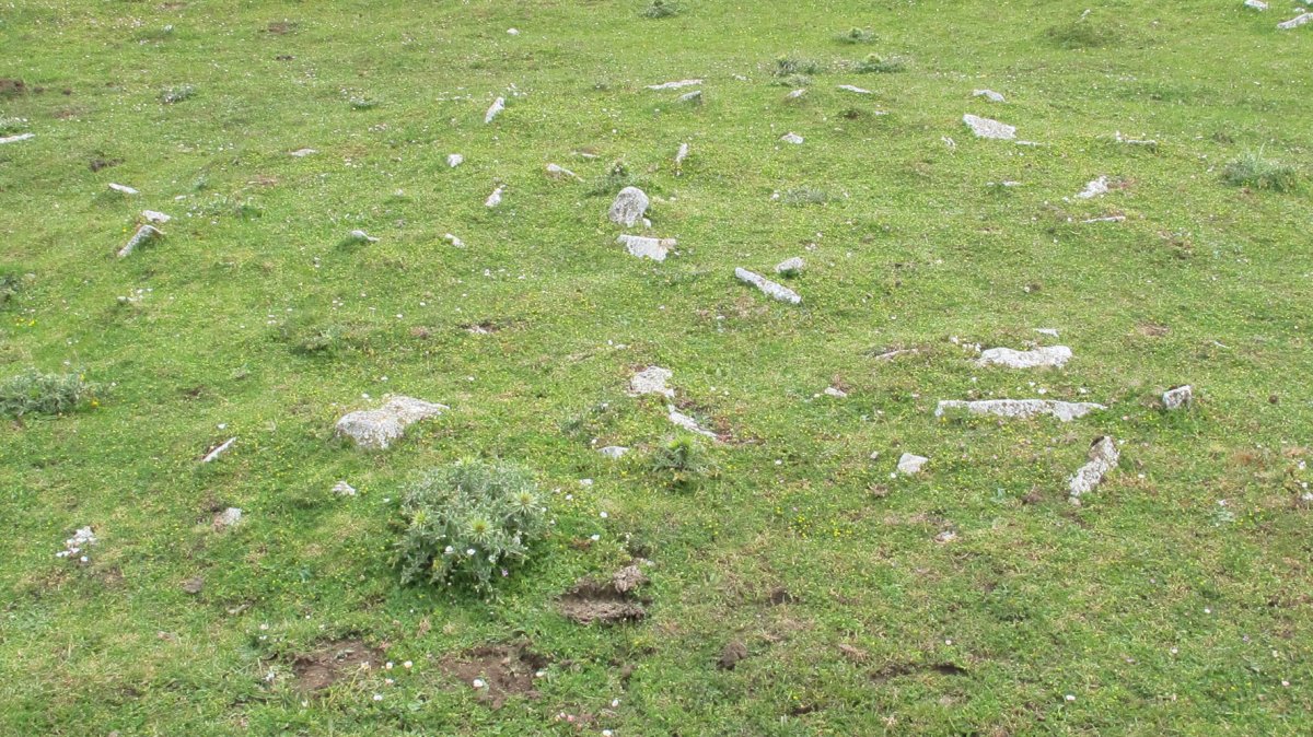 Ingiri 2 tumulua, Andia