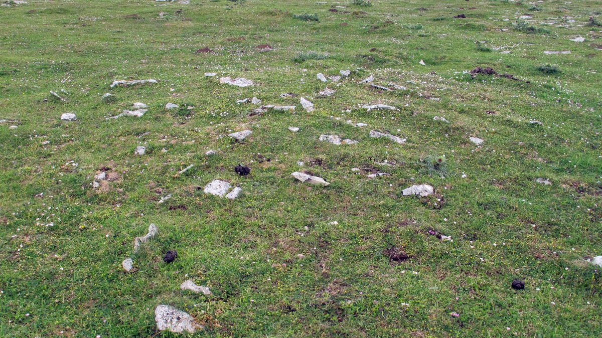 Ingiri 1 tumulua, Andia