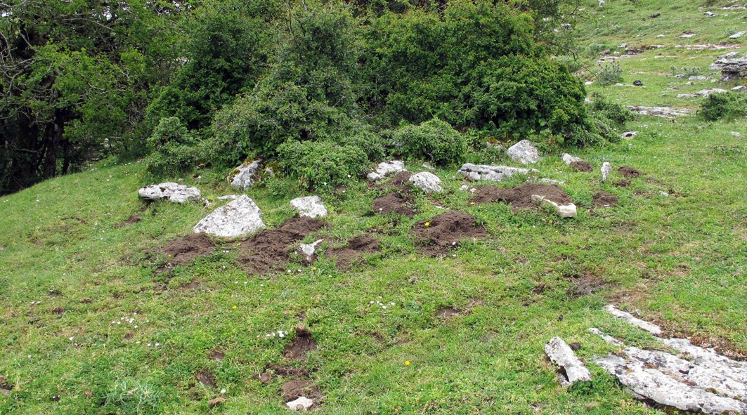 El Orinal hego txabola tumularra, Andia