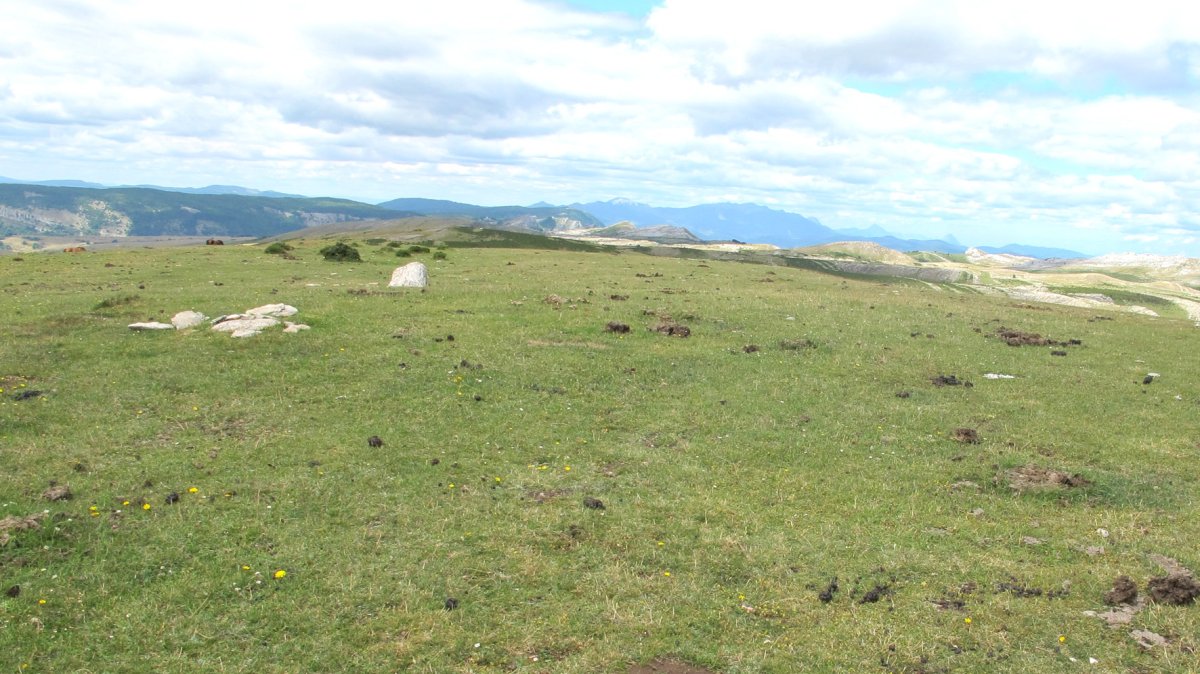 Beorzulo 3 eraztun tumulua, Andia