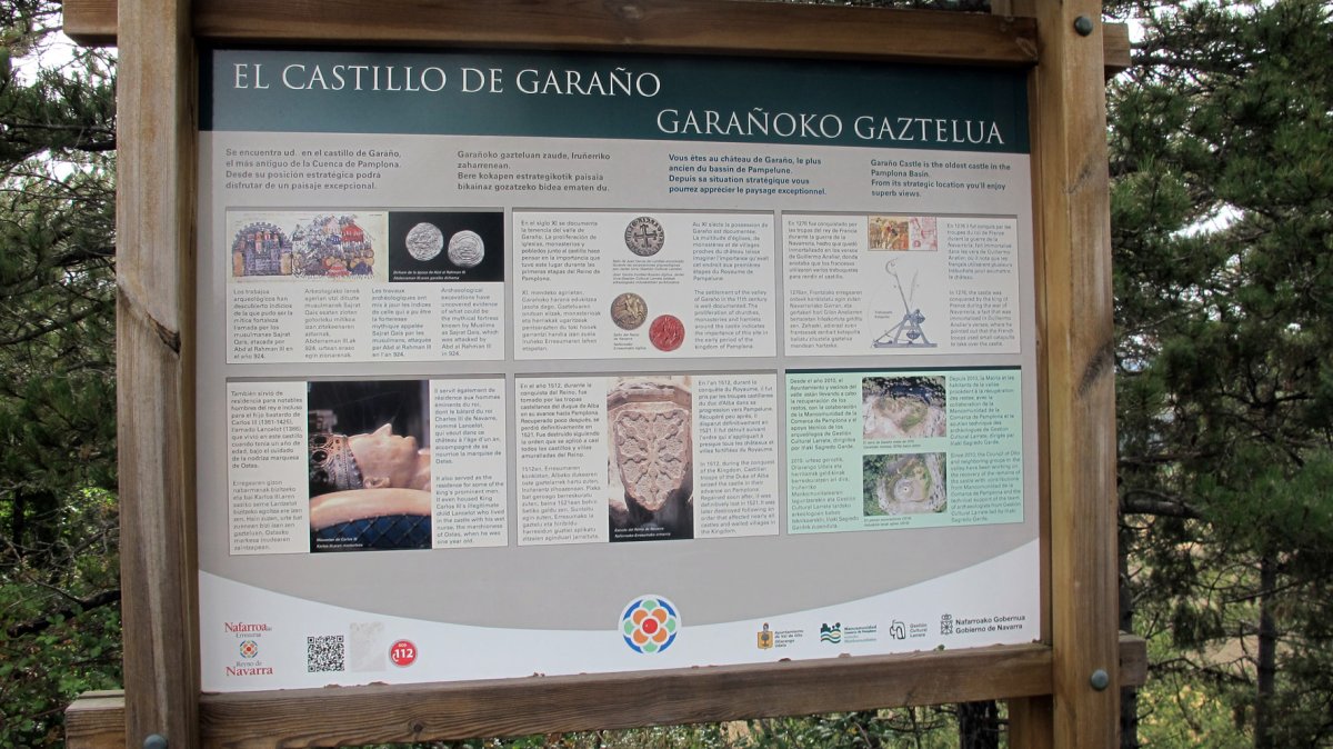 Garañoko Gazelua, Saldise-Ollo