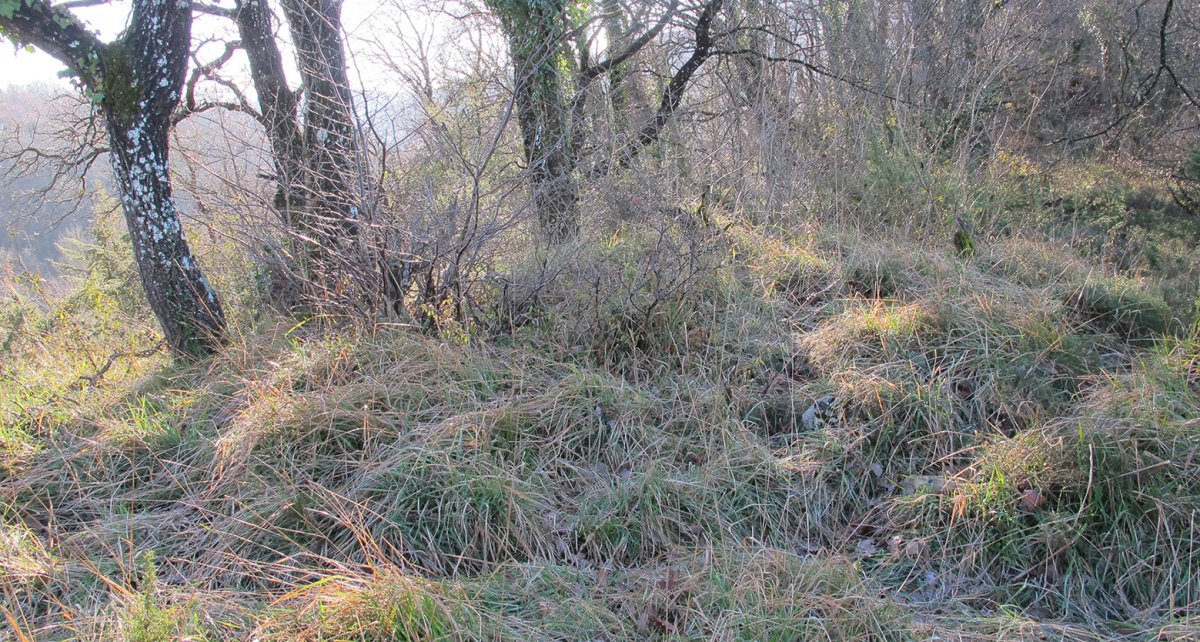 Mutxurro Oskotz tumulua, Oskotz-Imotz