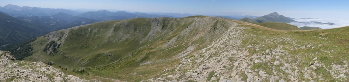 Otsogorritxipia ekialdeko lepotik