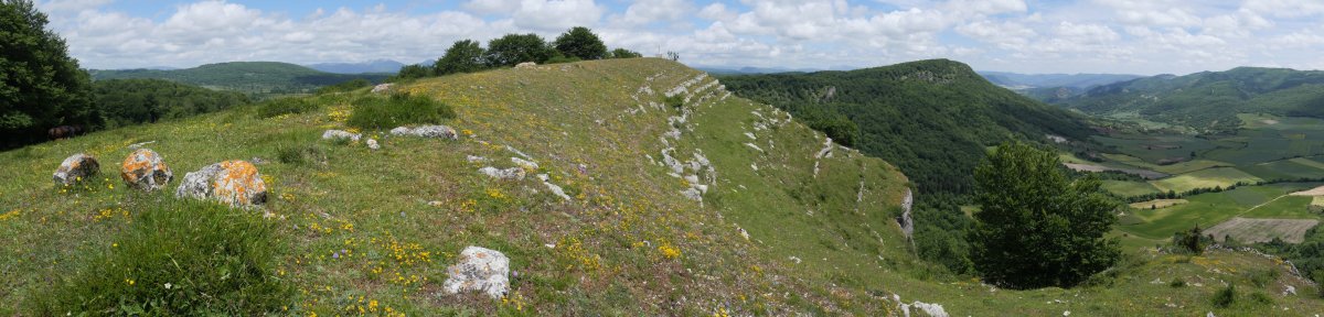 Kapitate tontorra HMtik